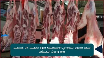 أسعار اللحوم البلدية في الإسماعيلية اليوم الخميس 28 أغسطس 2025 وأحدث التحديثات
